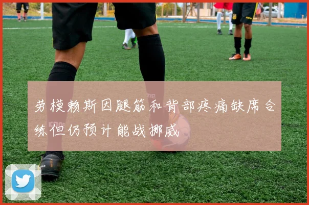 劳模赖斯因腿筋和背部疼痛缺席合练但仍预计能战挪威